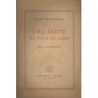 Livros/Acervo/F/FIGUEIREDO TOM UMA NOITE